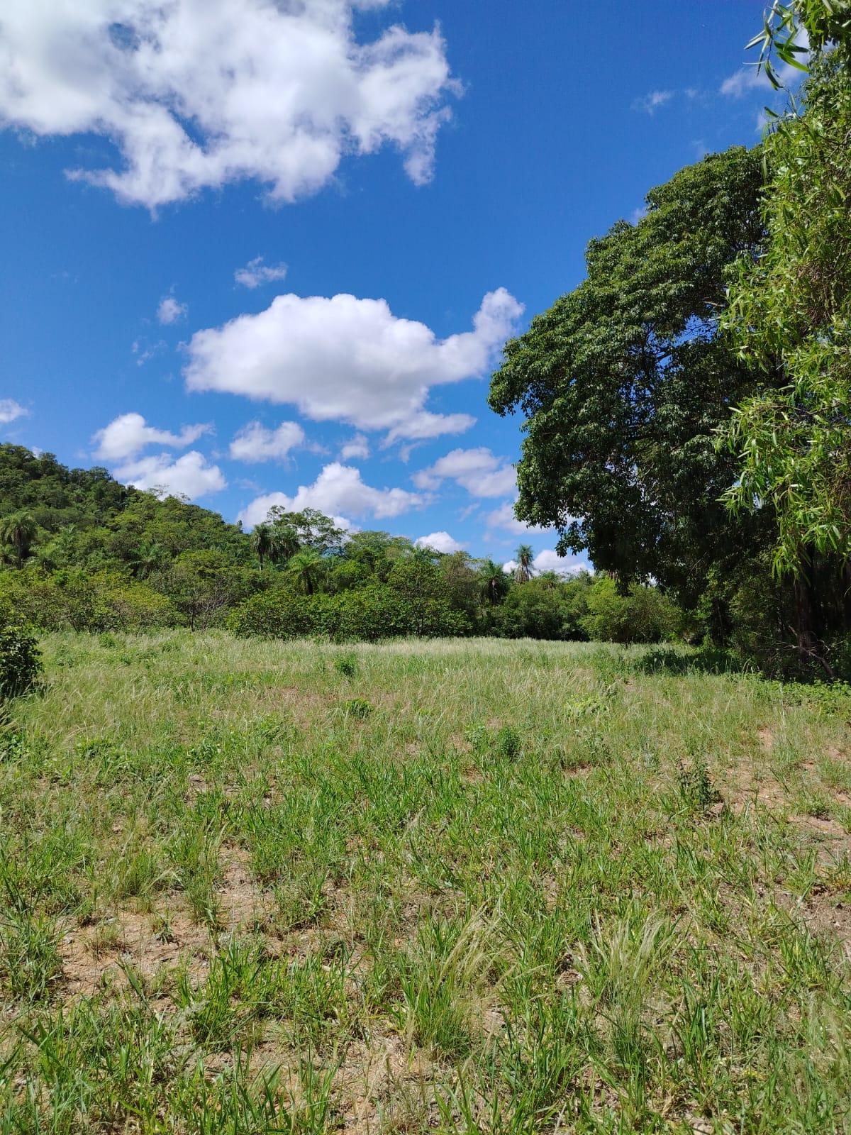 EN VENTA AMPLIO TERRENO EN SAN BERNARDINO, PIRAYU’I — foto 2