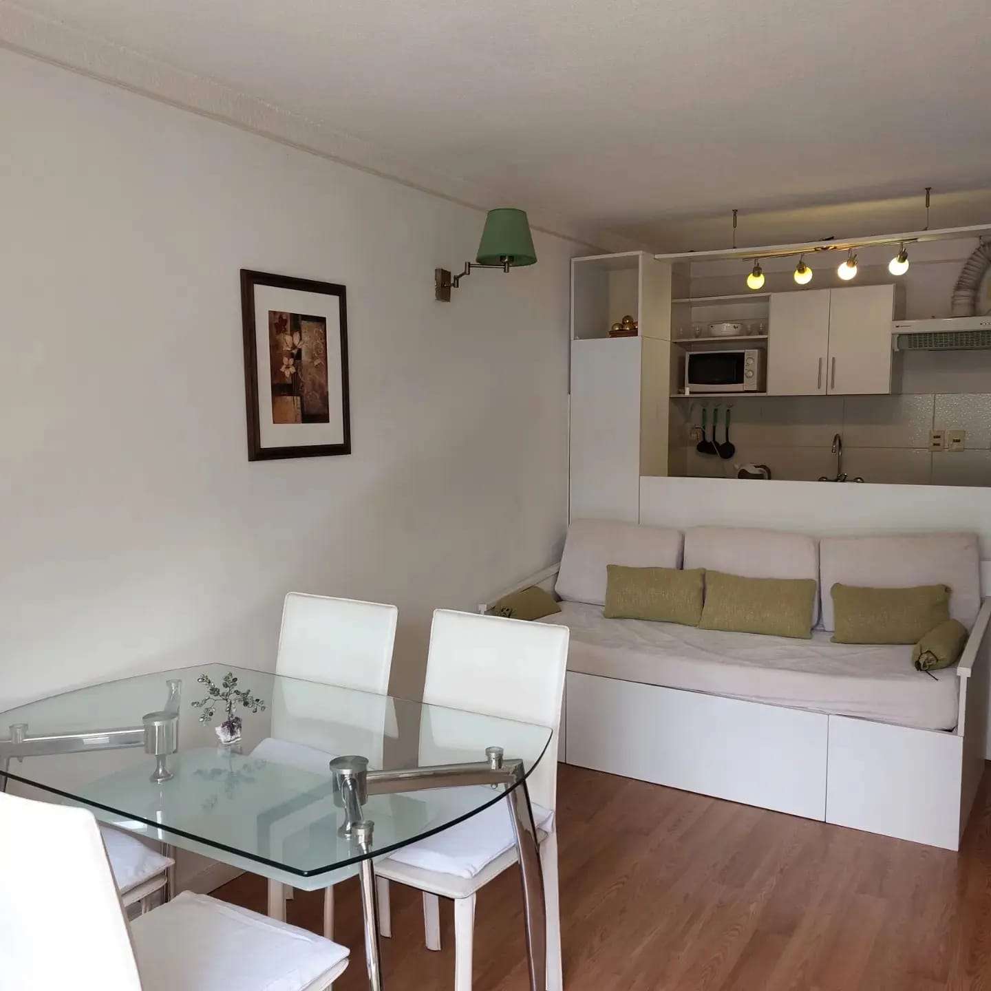 Alquiler Apartamento  Amoblado 1 Dormitorio Centro · Foto 1
