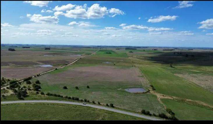 Campo 150 hectáreas agrícola en Florida - foto 4
