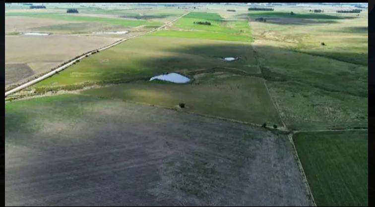 Campo 150 hectáreas agrícola en Florida - foto 3