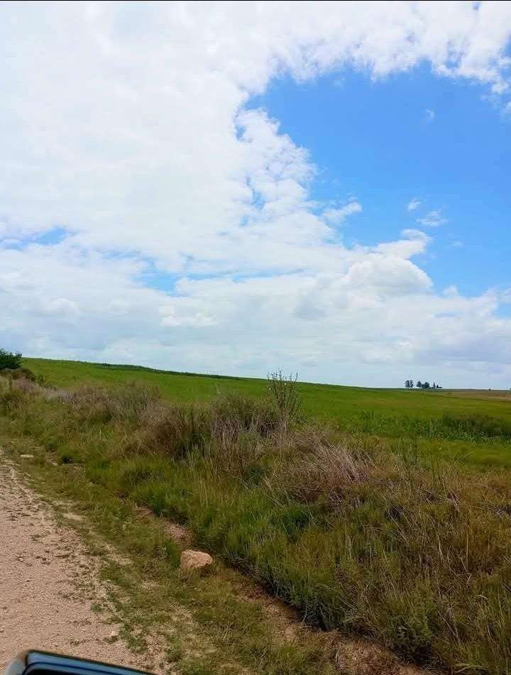 Campo 150 hectáreas agrícola en Florida - foto 1