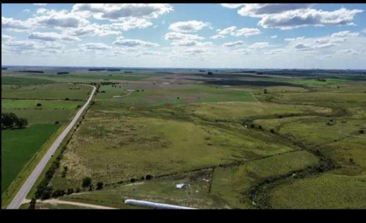 Campo 150 hectáreas agrícola en Florida - foto 5