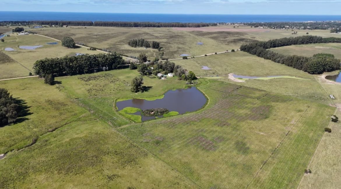 VENTA | Chacra de 8 hectáreas en José Ignacio