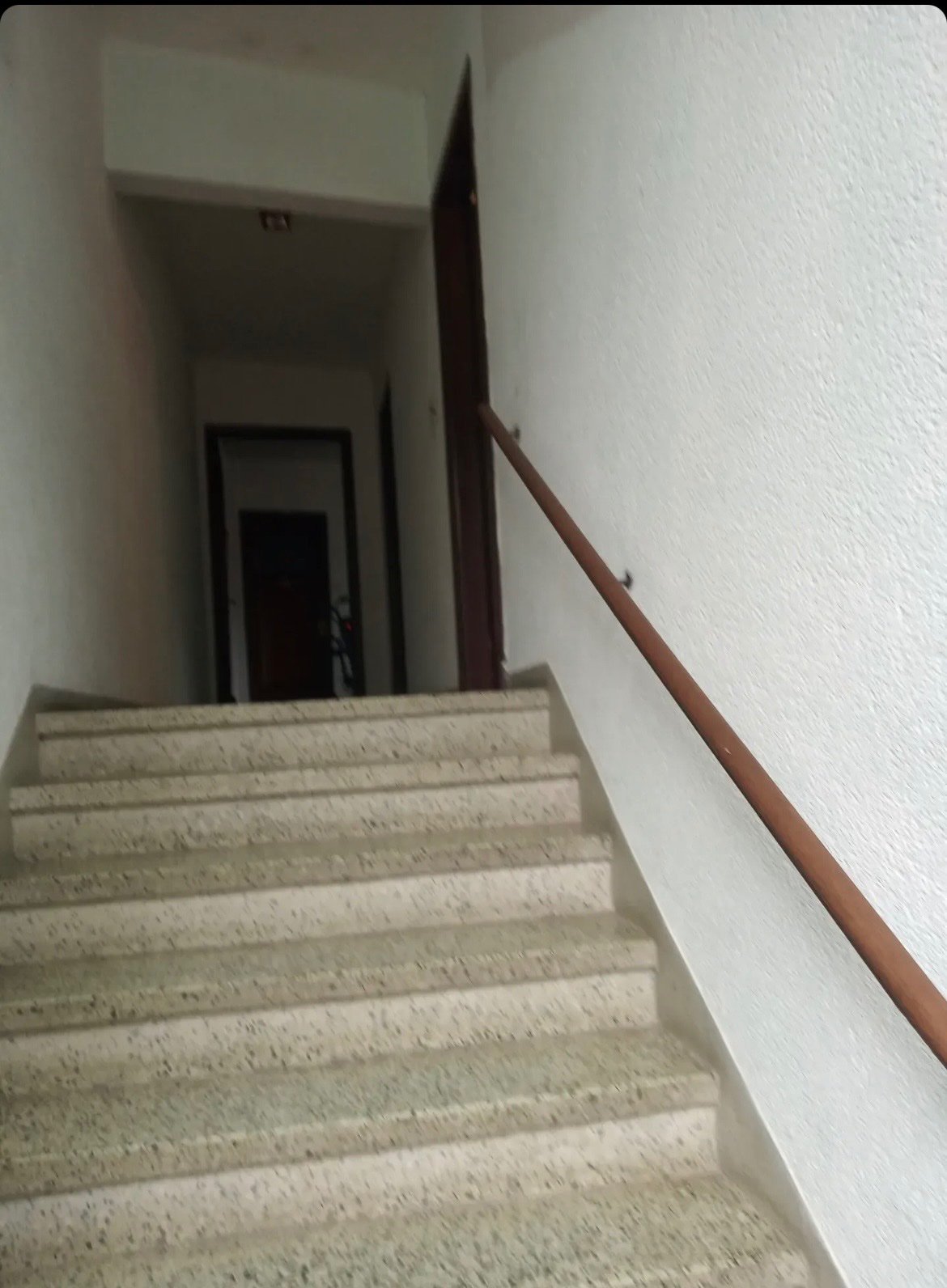 ALQUILER | Apartamentos 2 dormitorios en Buceo · Foto 1