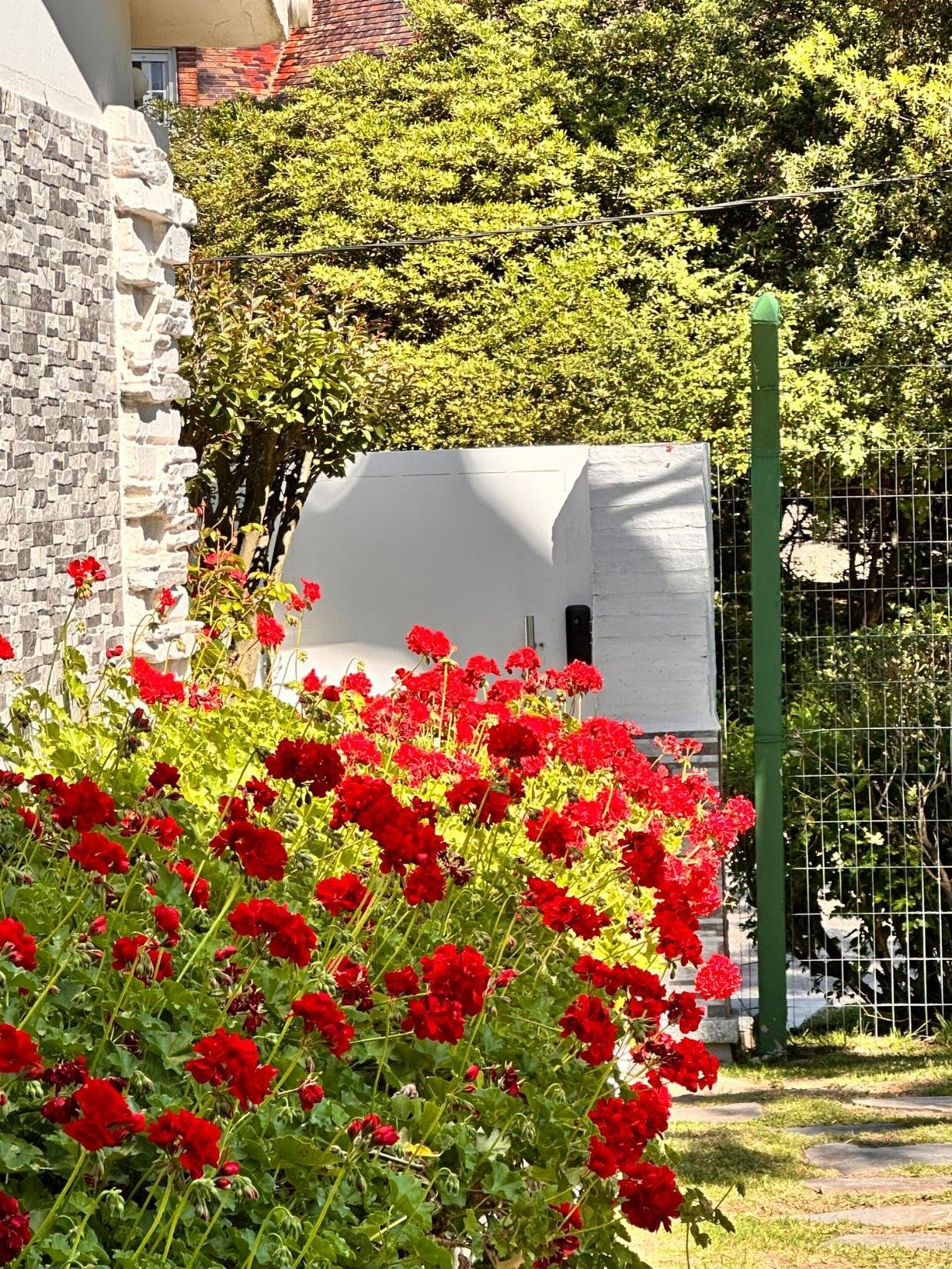 Alquiler SuMMer Chalet 3 dormitorios 4 baños Cantegril · Foto 6