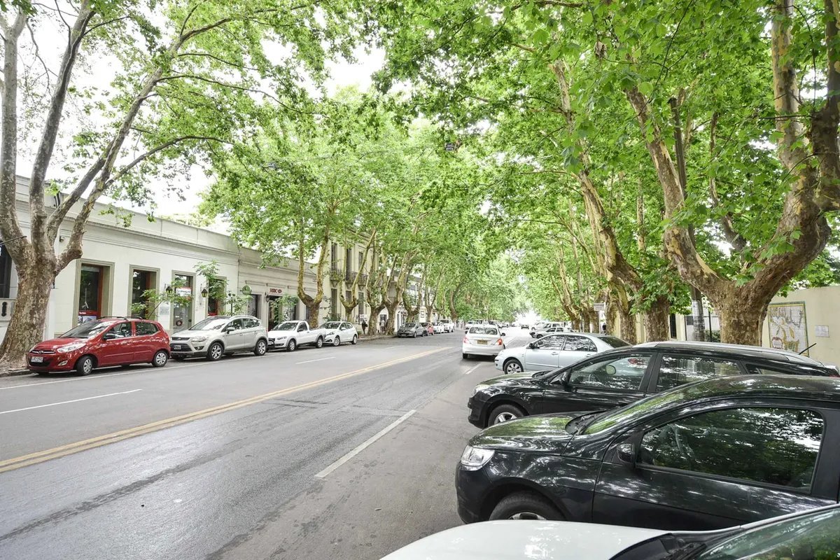 Local y Terreno 1700m² Colonia del Sacramento Venta/Alquiler