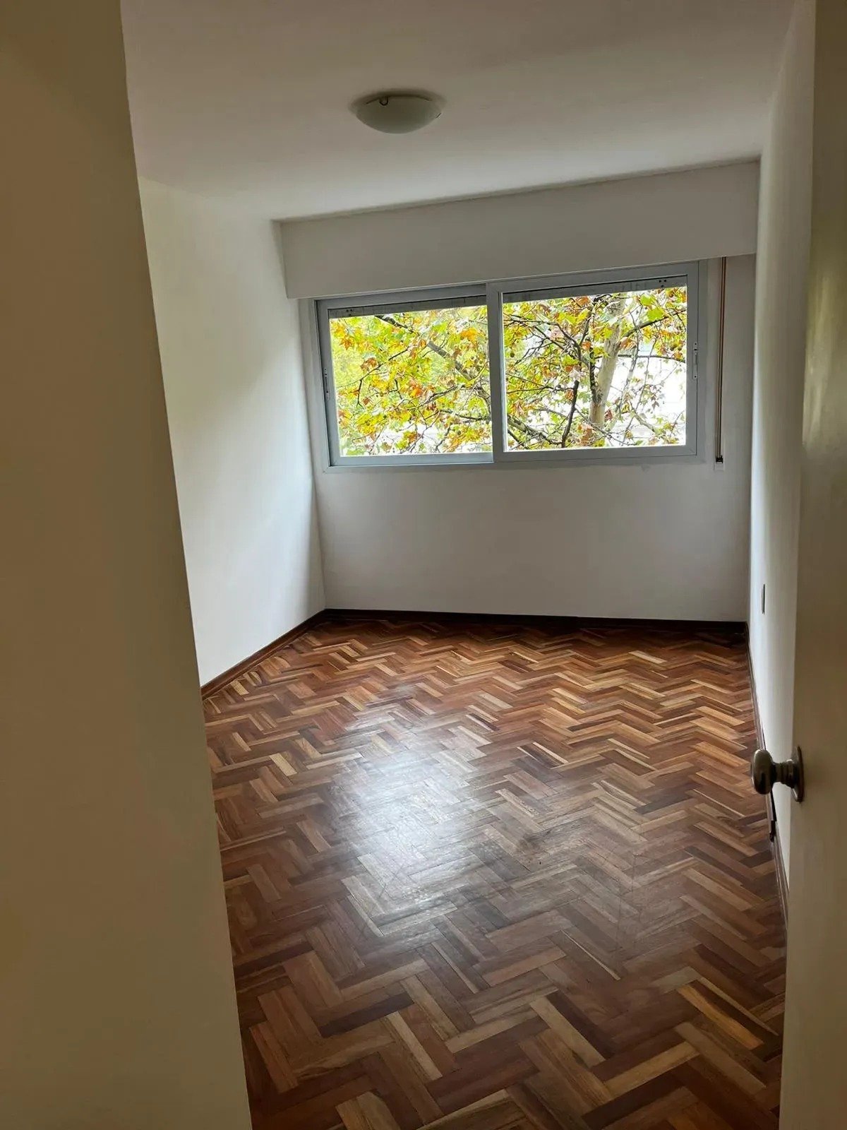 Alquiler Apartamento 1 dormitorio Centro · Foto 4