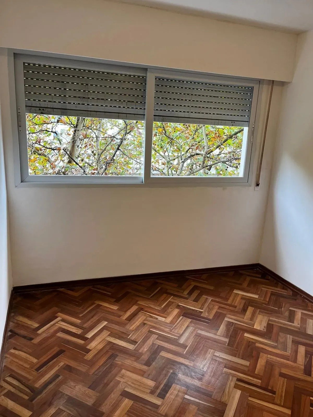 Alquiler Apartamento 1 dormitorio Centro · Foto 3