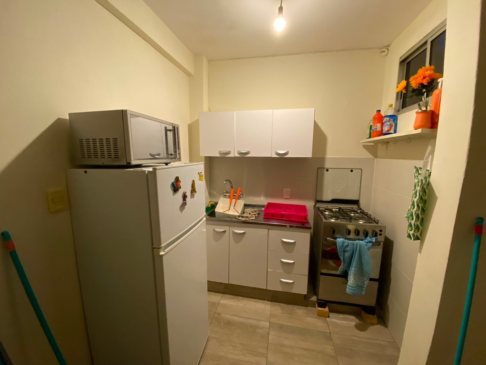 Alquiler Apartamento 1 dormitorio en Buceo · Foto 7