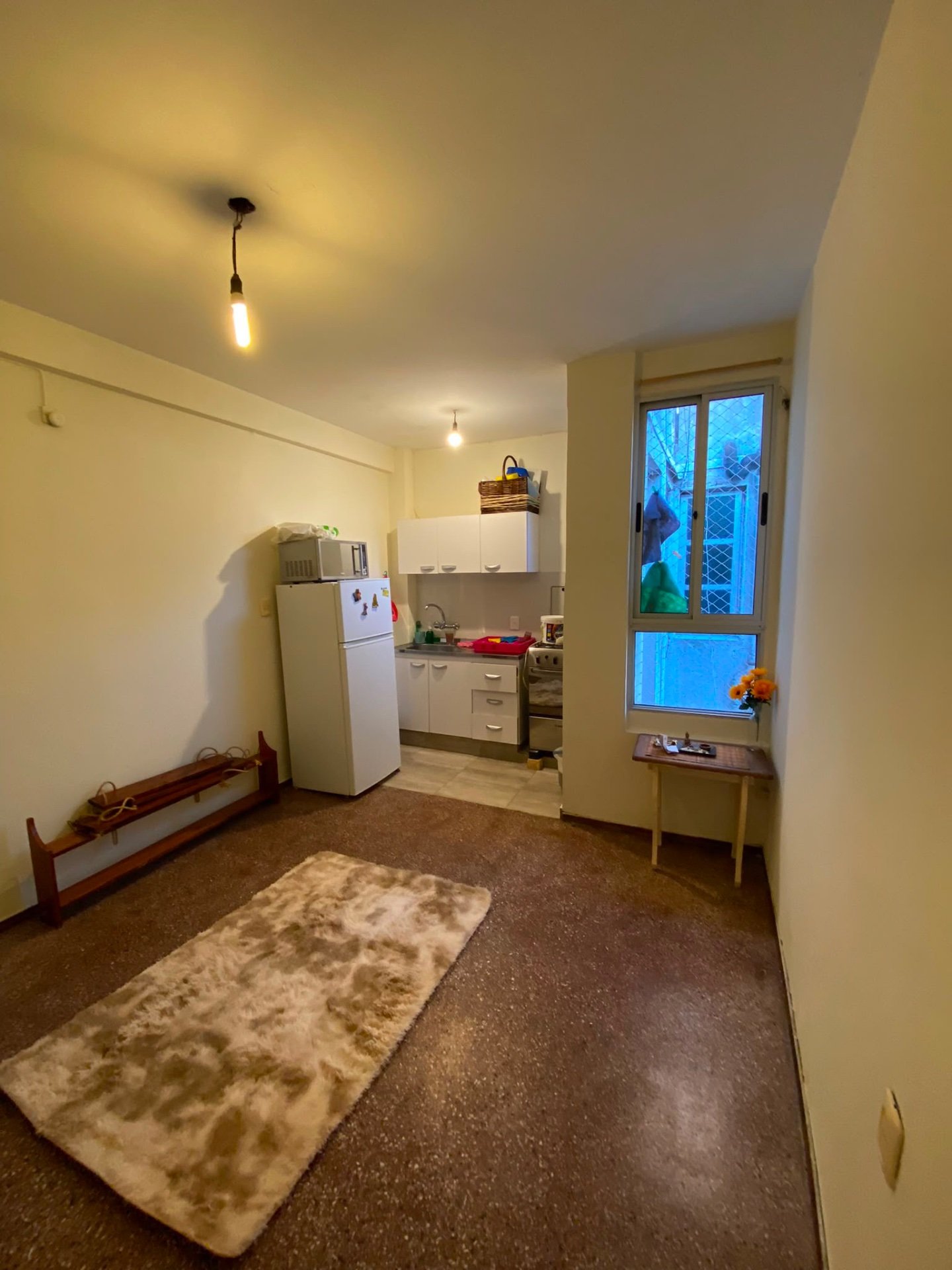 Alquiler Apartamento 1 dormitorio en Buceo · Foto 6