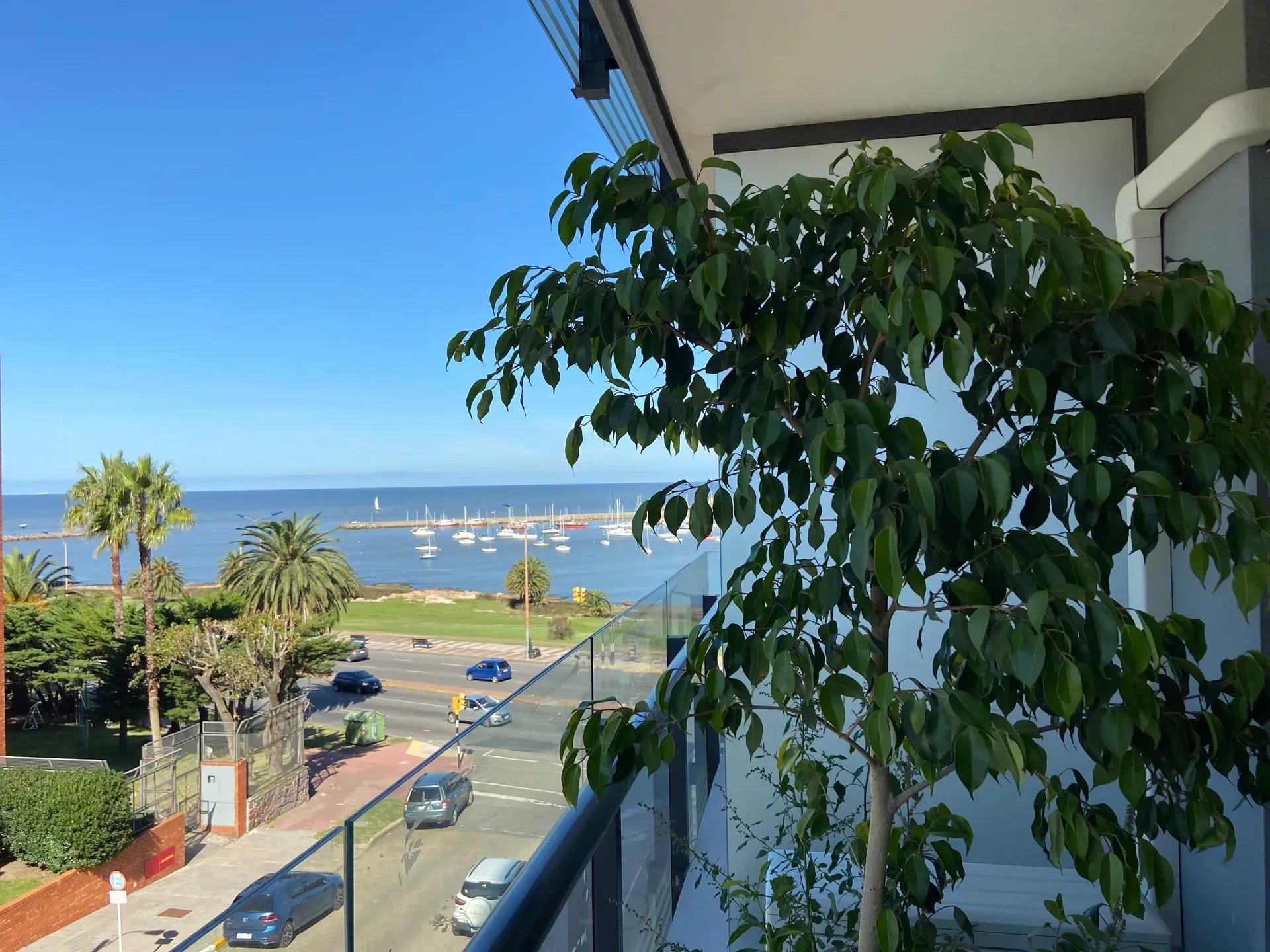 Alquiler Apartamento 1 dormitorio Puerto de  Buceo · Foto 1