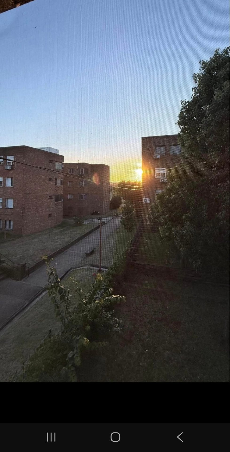 Alquiler Apartamento 2 dormitorios La Paz · Foto 8