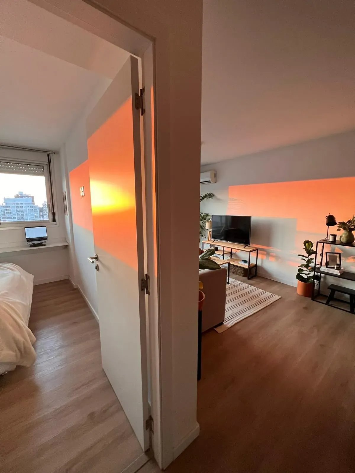Alquiler Apartamento 1 dormitorio Malvin · Foto 1