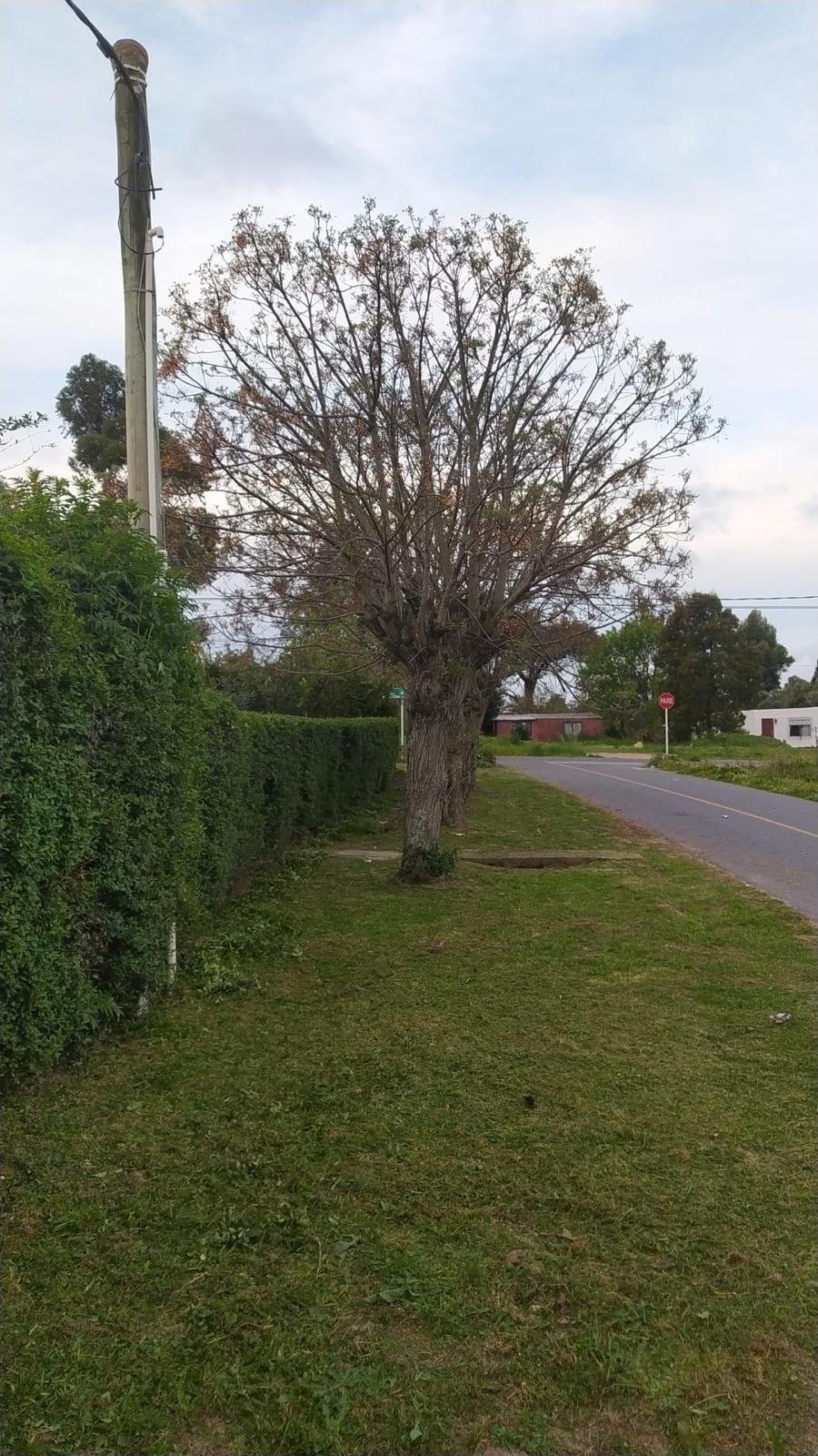 Casa en alquiler de 4 dorm en Lagomar Ciudad de la Costa · Foto 4