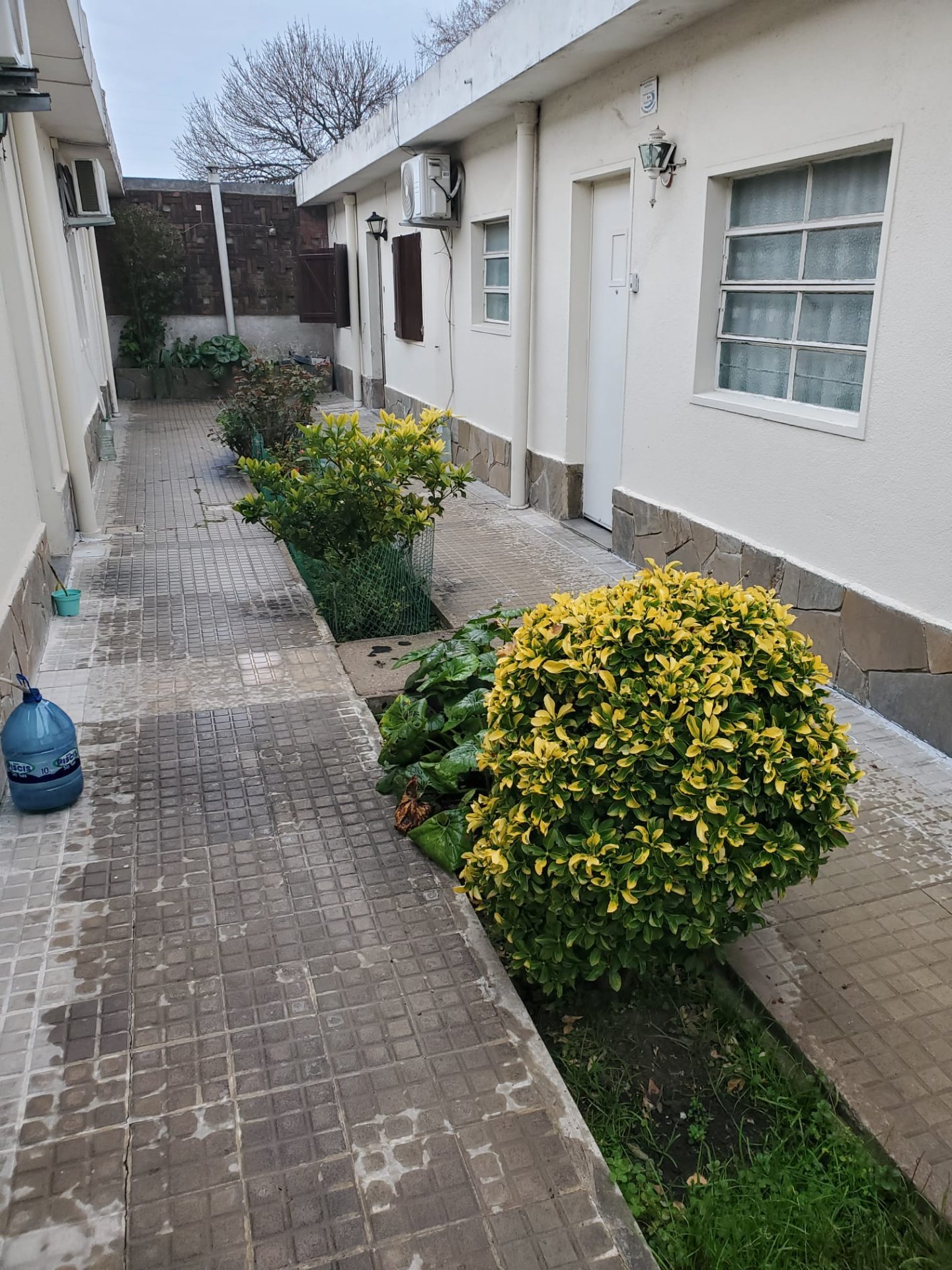 Alquiler Apartamento 2 dormitorios con patio La Unión · Foto 3