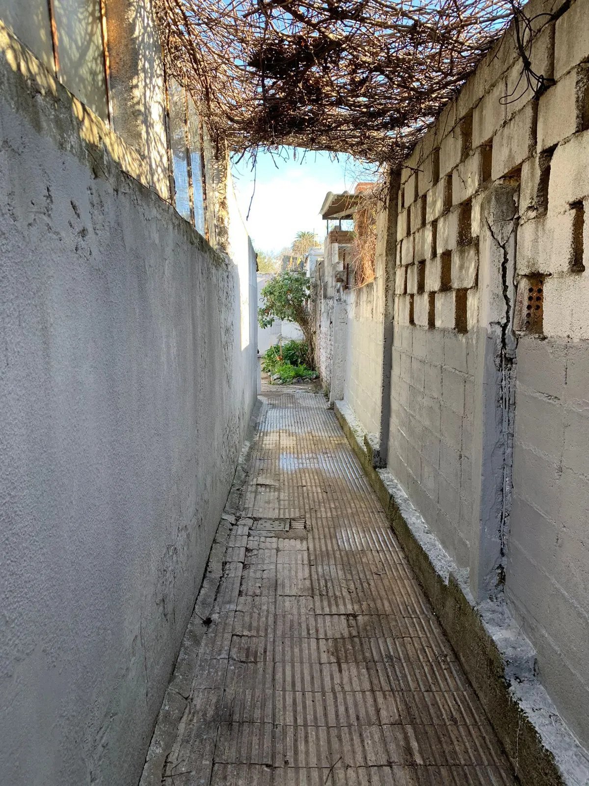 Alquiler Casa 2 dormitorios en Unión con parrillero · Foto 9