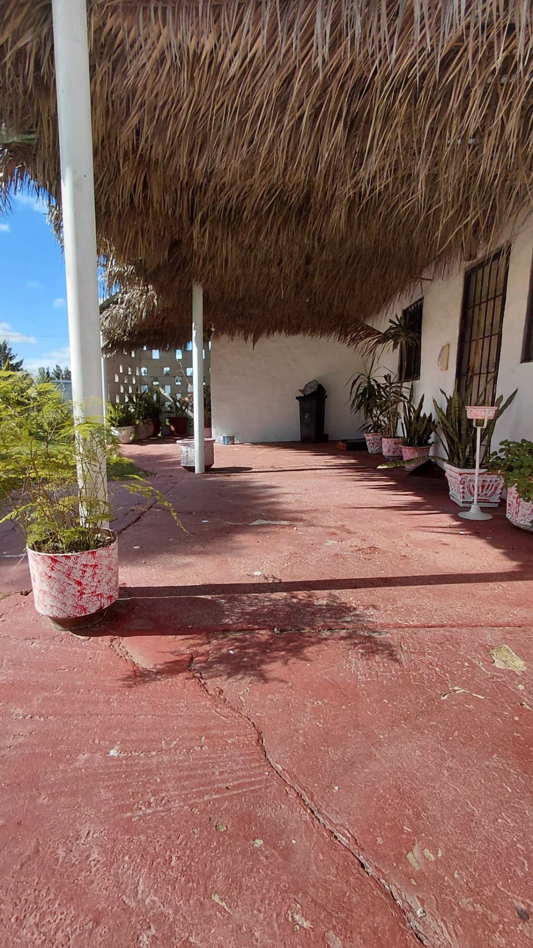 Alquiler Local comercial o Chacra para eventos Colón