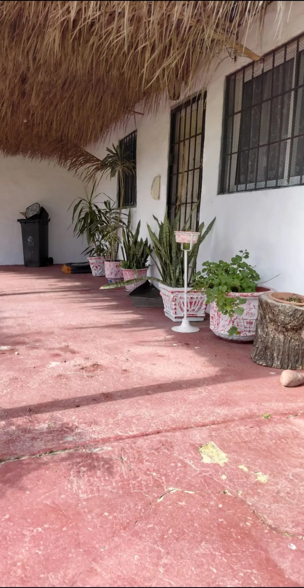Alquiler Local comercial o Chacra para eventos Colón · Foto 8