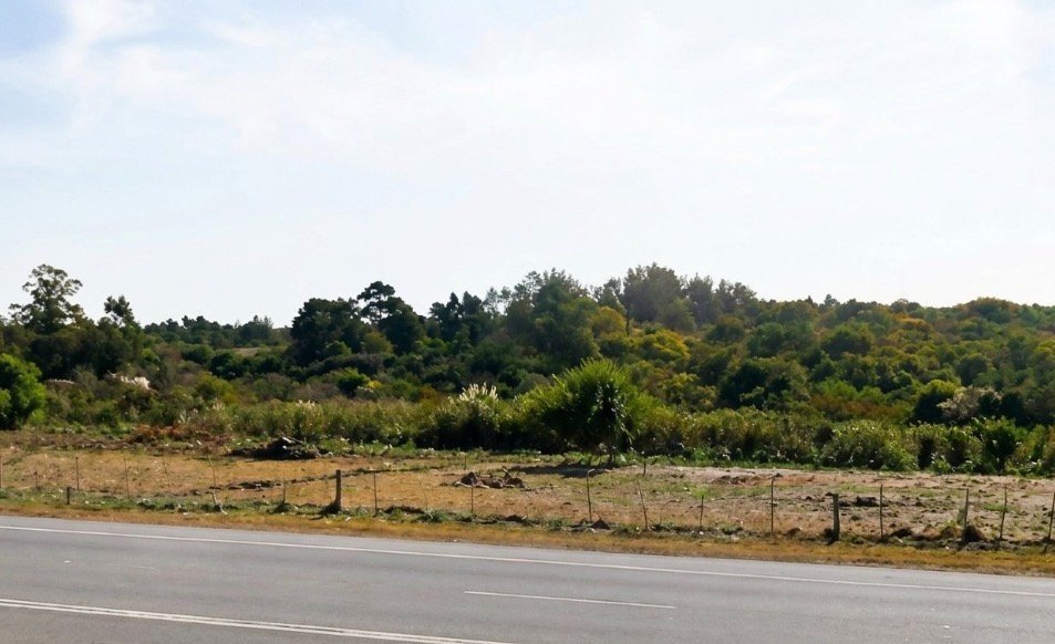 ALQUILER ANUAL DE DOS TERRENOS PREMIUM EN LA TUNA · Foto 2