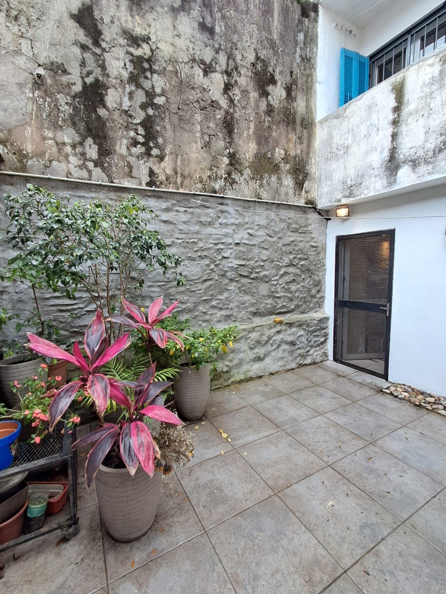 Alquiler Casa 3 dormitorios Cordón · Foto 8