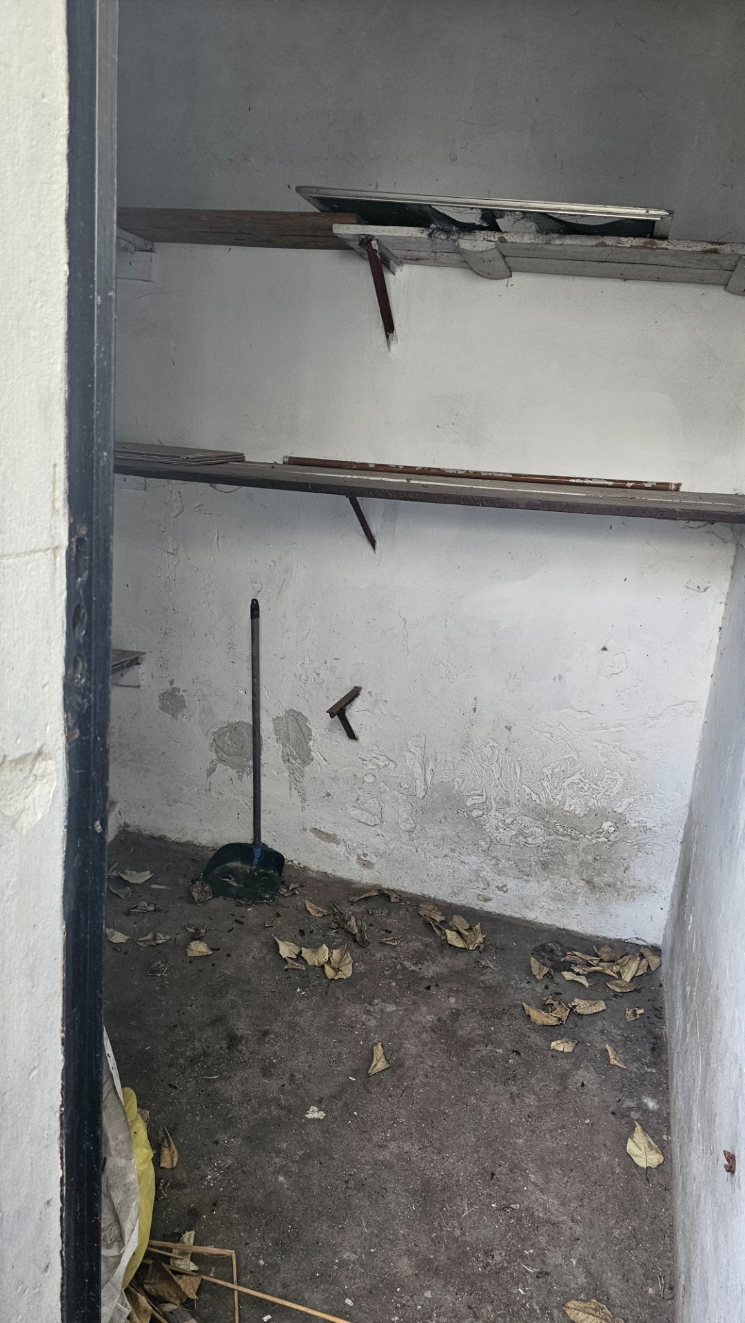 SIN GASTOS COMUNES Alquiler Apartamento 1 dormitorio Las Acacias · Foto 10