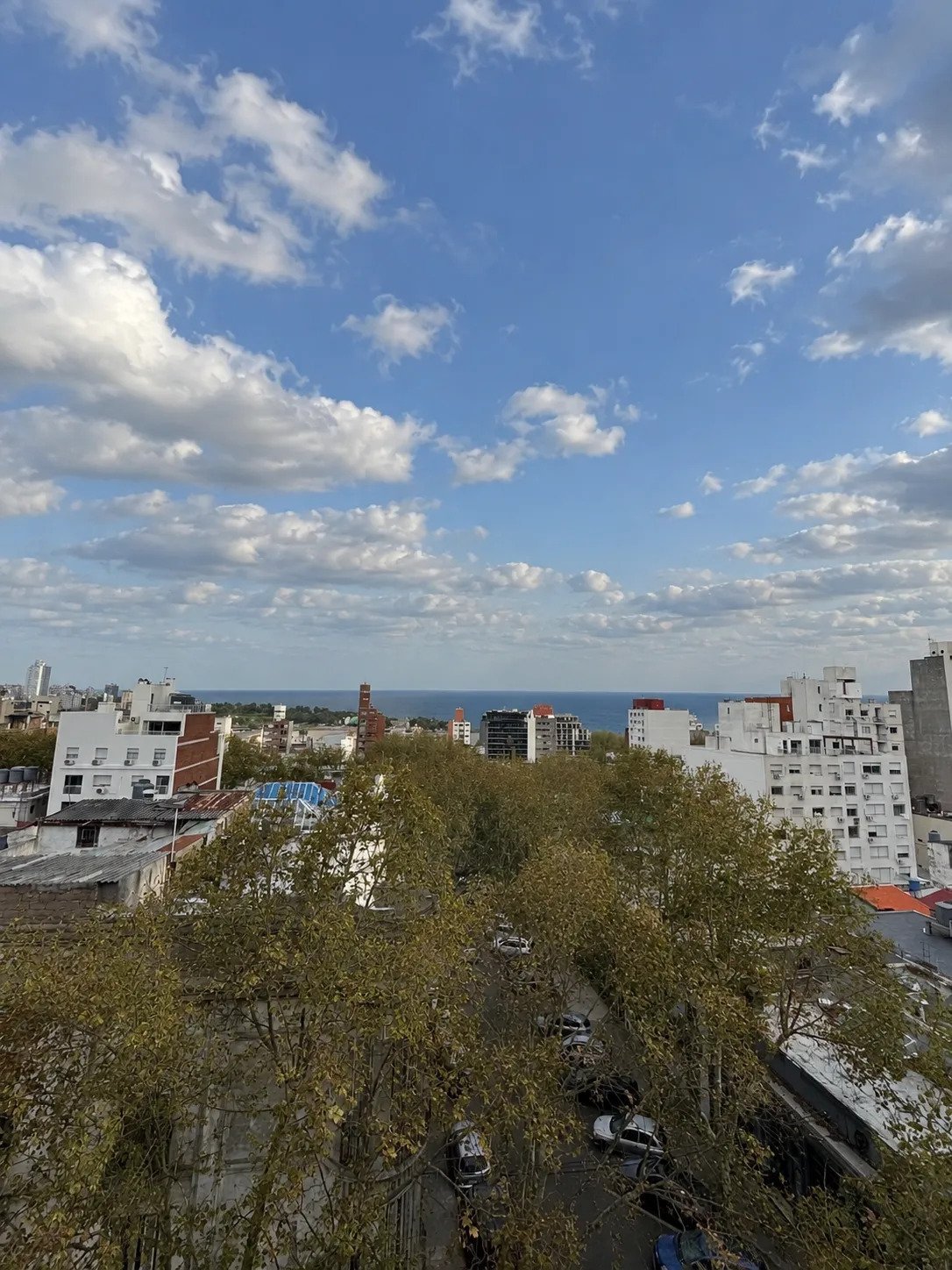 Alquiler Apartamento 2 dormitorios Parque Rodo · Foto 10