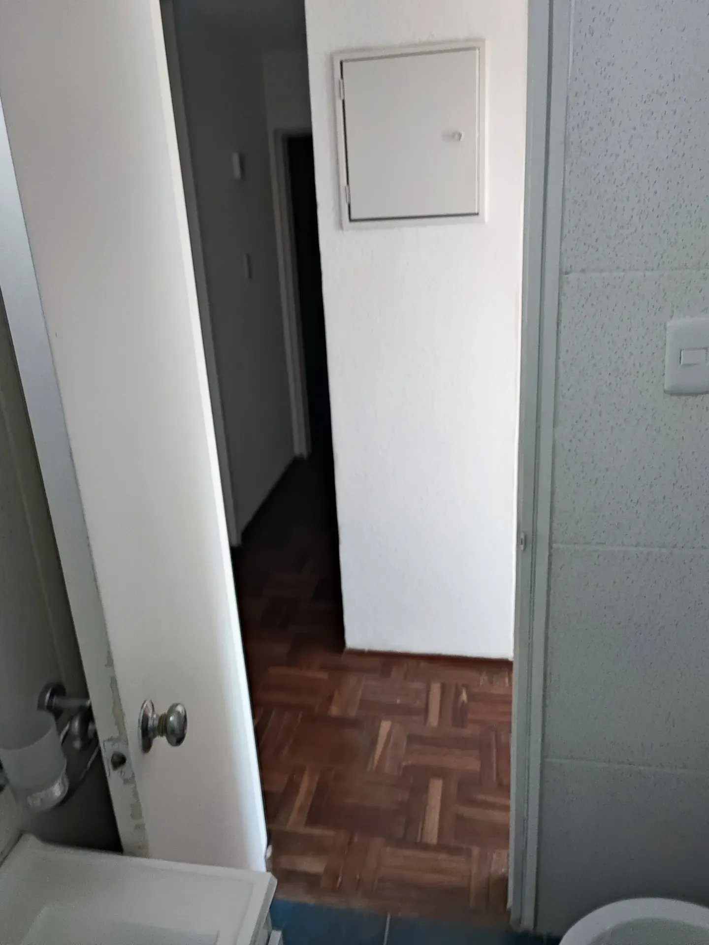 Alquiler Apartamento 3 dormitorios Malvin Norte Luminoso · Foto 11