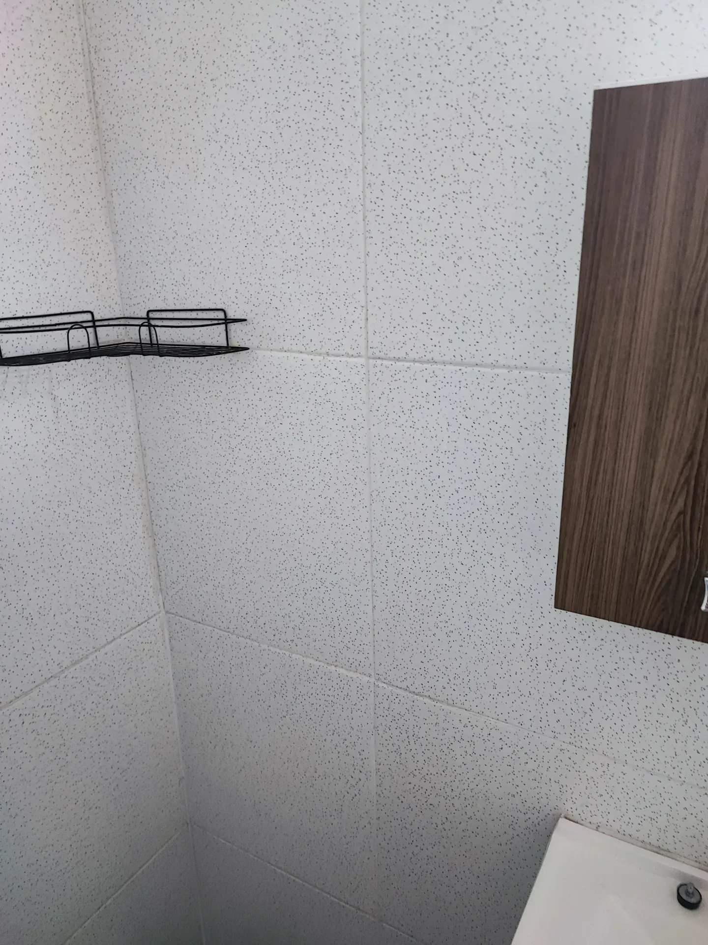 Alquiler Apartamento 3 dormitorios Malvin Norte Luminoso · Foto 12