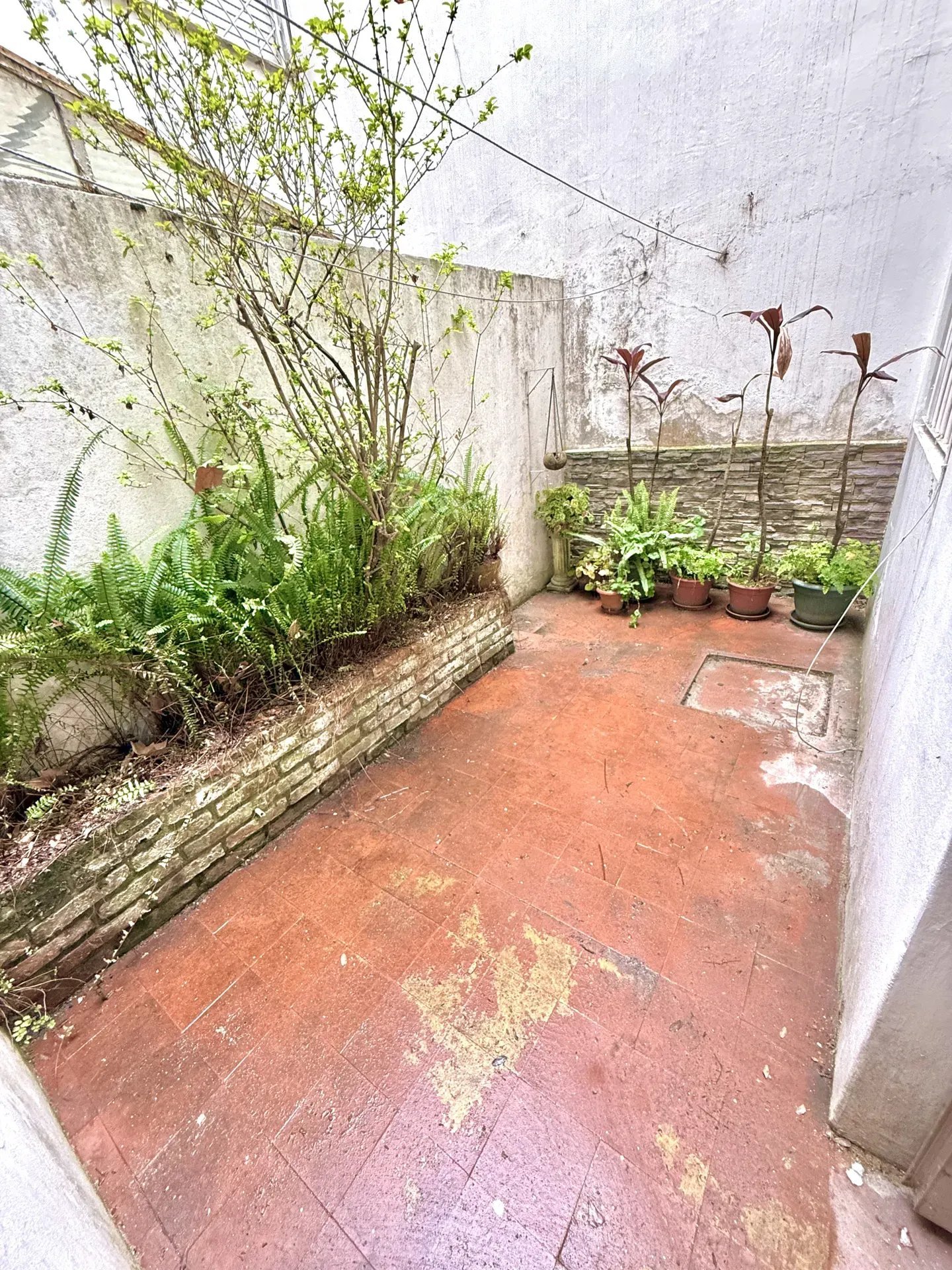 Alquiler Apartamento 2 dormitórios  Patio Amoblado Pocitos · Foto 12
