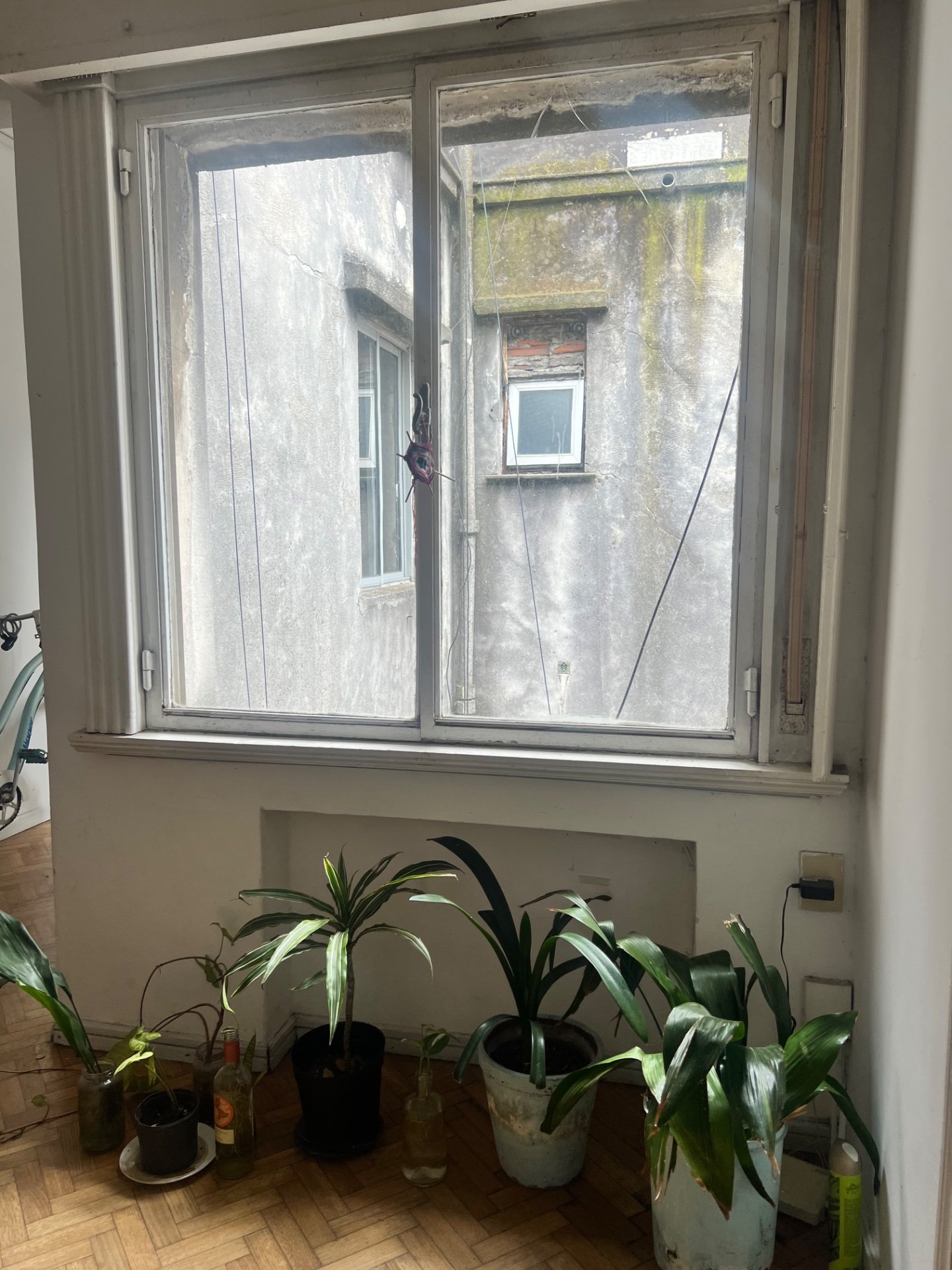 Alquiler Apartamento 3 dormitorios Montevideo · Foto 7