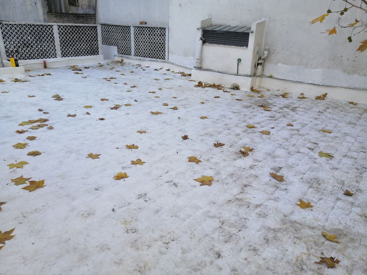 Alquiler Casa 2 dormitorios Cordón · Foto 4
