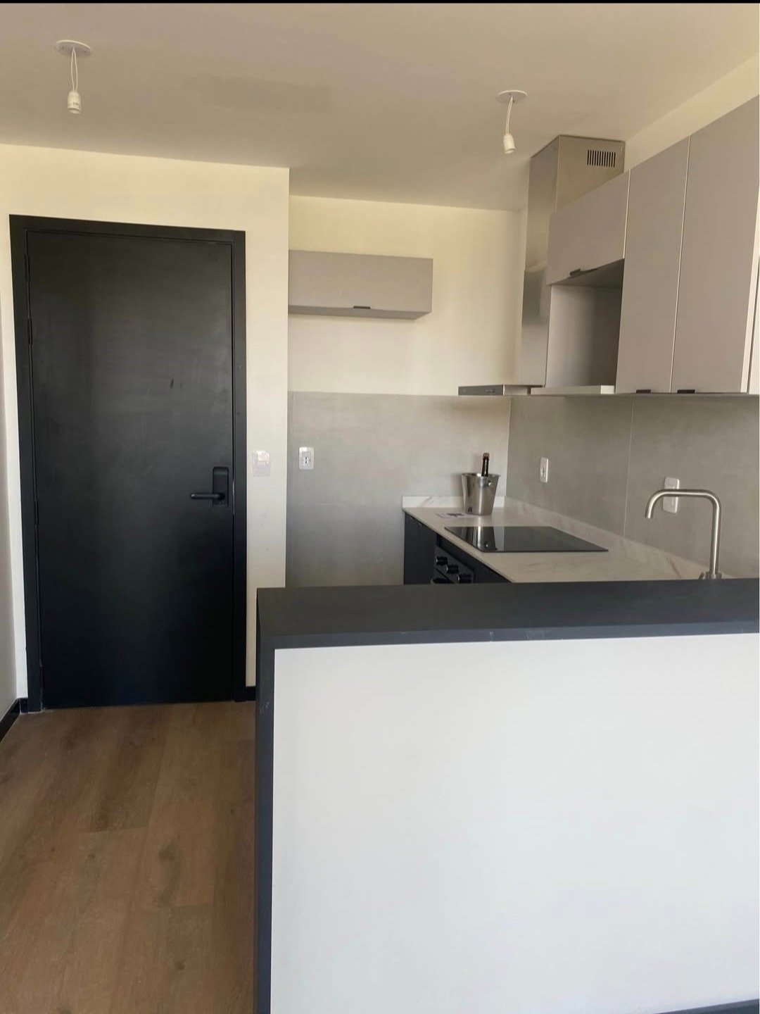 Alquiler Apartamento 1 dormitorio paso de carrasco · Foto 3