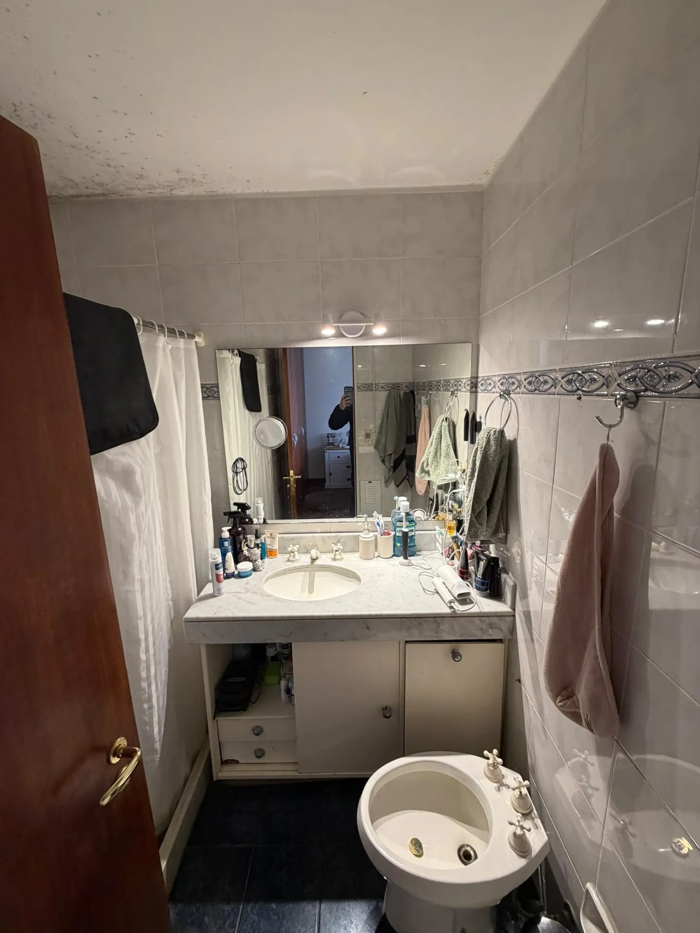 Alquiler Monoambiente  Amueblado Punta Carretas · Foto 6