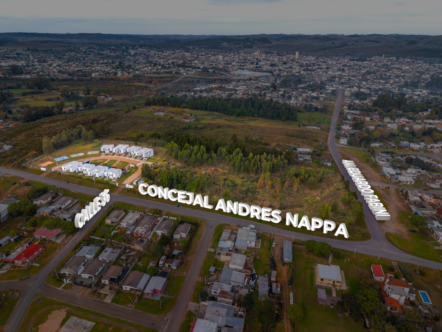 Terreno en venta de 20885m2 ubicado en Minas - foto 5