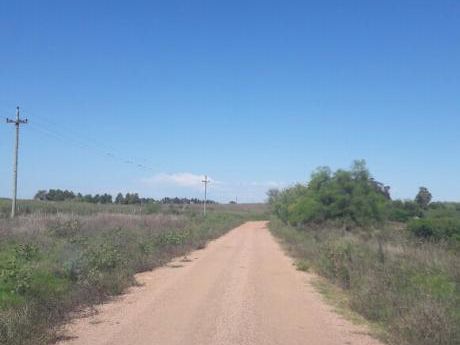 Campo En Venta En Sauce
