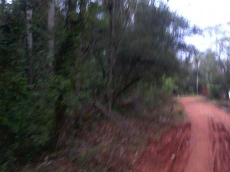 7 Ha. En Altos