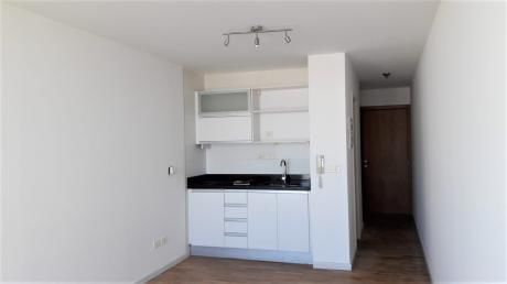 Pocitos Apto Monoambiente Piso Alto Calef Portería
