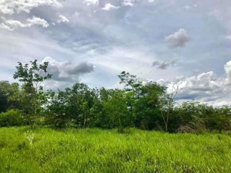 Vendo Terreno En Surubii