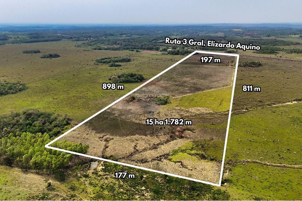 EN VENTA 15 HECTAREAS-25 DE DICIEMBRE -SAN PEDRO — foto 3