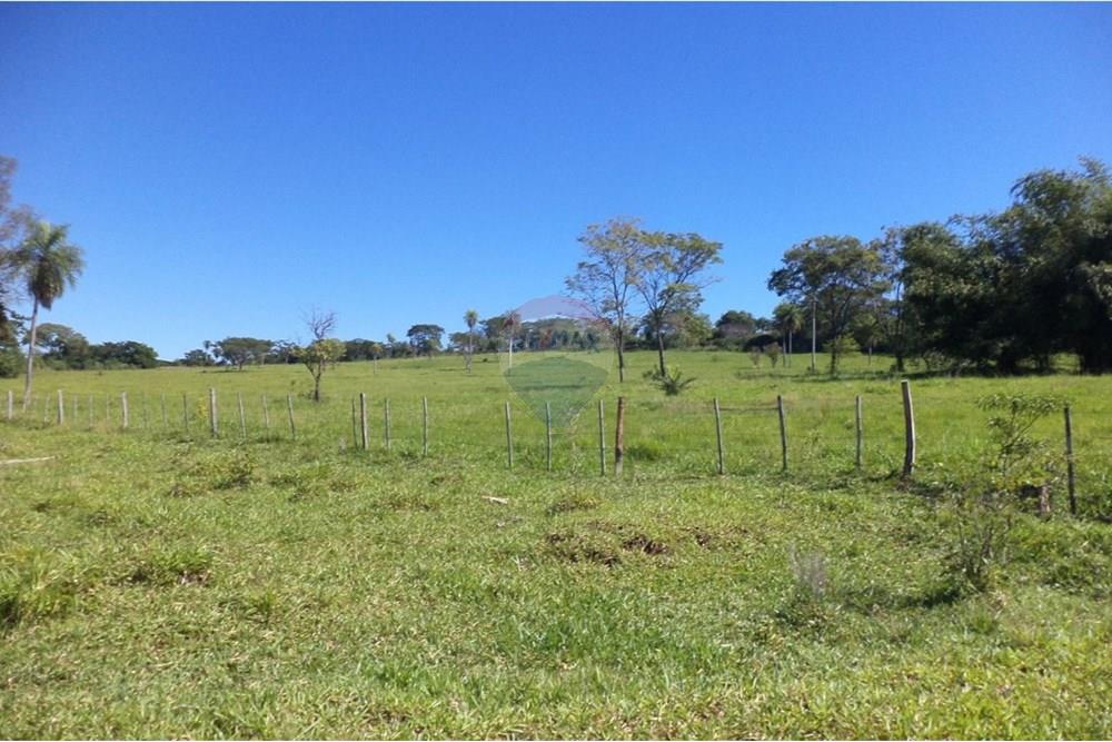 Estancia/Campo - Venta - Isla Pucú, Cordillera, Paraguay — foto 3