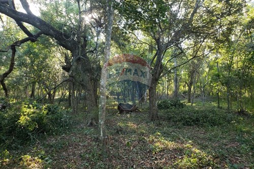 TERRENO EN VENTA, ALTOS — foto 2