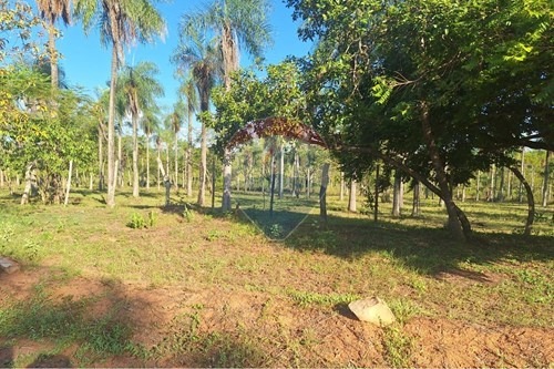 VENDO TERRENO DE 1 HECTÁREA MEDIA EN ALTOS!!!! — foto 2
