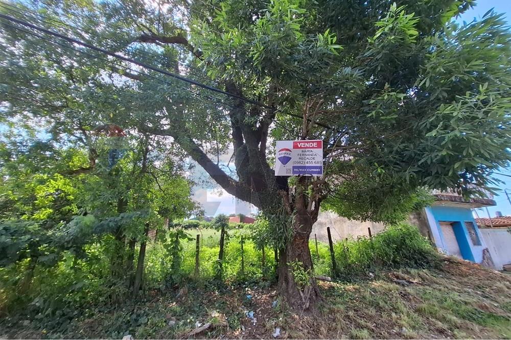 Terreno - Venta - Lambaré — foto 3