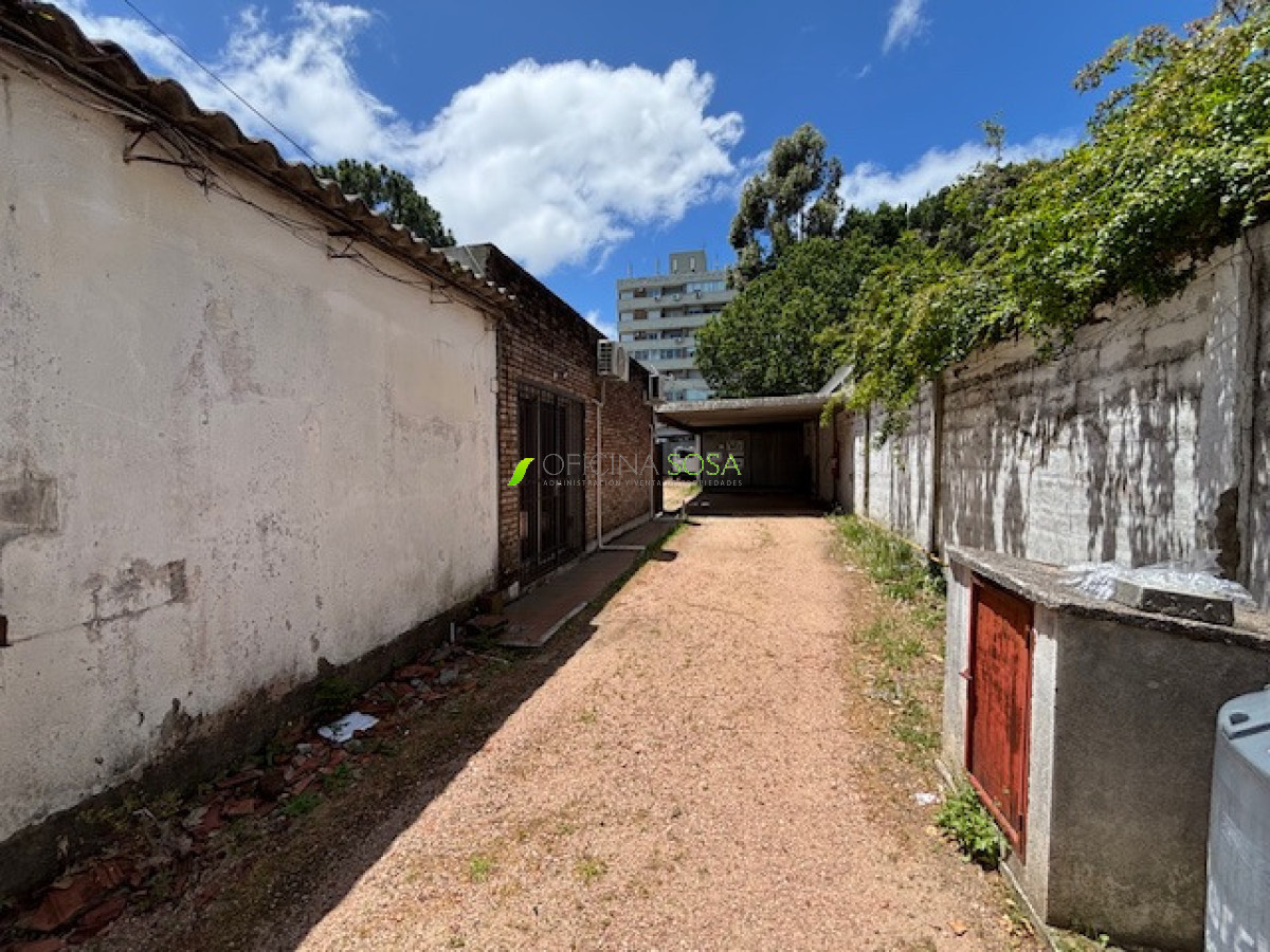 Oficina Sosa - Grito de Gloria y Rivera galpón de 250mts2 al fondo entrada de camión · Foto 12