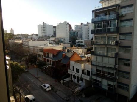 Vista Lateral A La Rambla, Dise