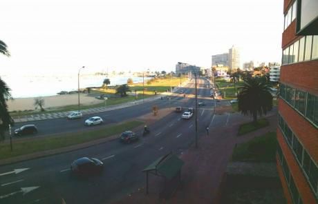 Excelente Planta Frente Al Puerto Del Buceo