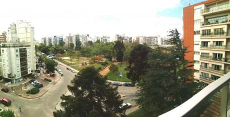 Planta De Estilo Frente Al Parque