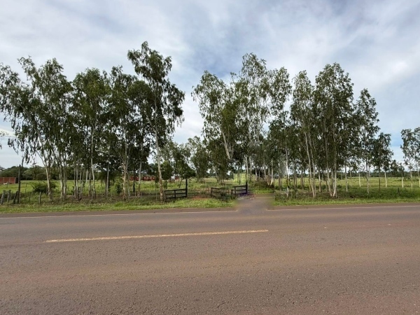 VENDO IMPORTANTE PROPIEDAD DE 1,1 HECTÁREA SOBRE RUTA 5 — foto 2