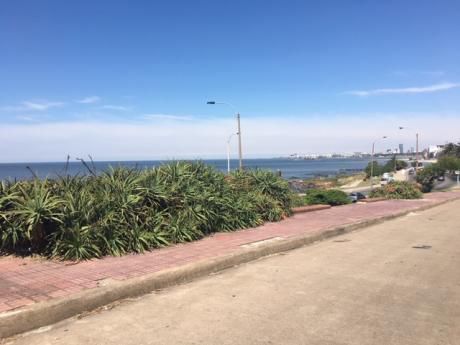 Increíble Calle ,cercano A Playa De Los Ingleses, Buen Metraje
