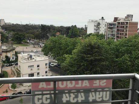 Espectacular Vista Al Parque